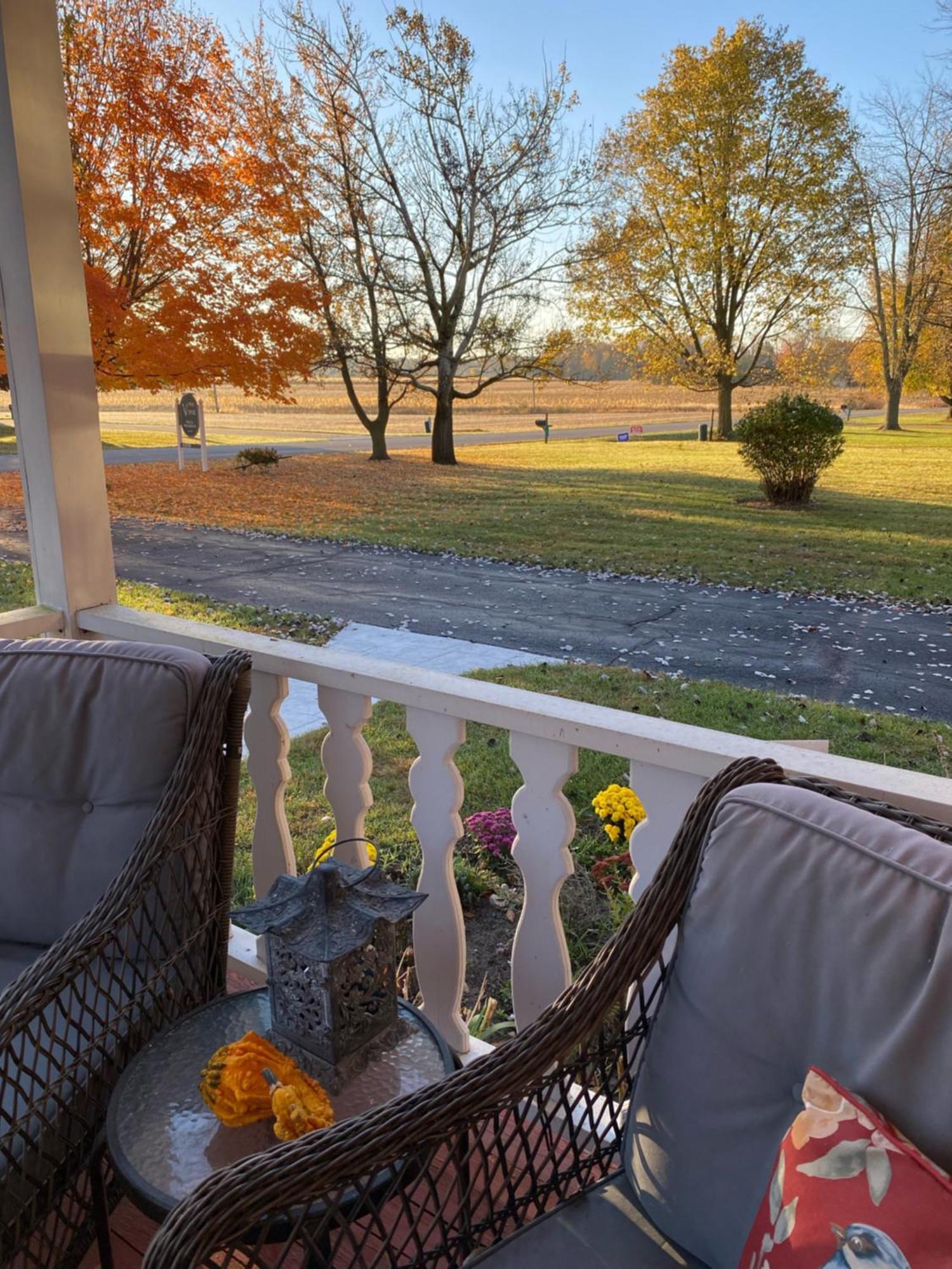 The Vine Bed & Breakfast, Llc Dundee Eksteriør billede